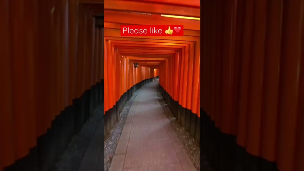 #japan #travel #shrine #shorts #1ancu1ghiozdan #japonia #calatorii #vacante #fushimiinari