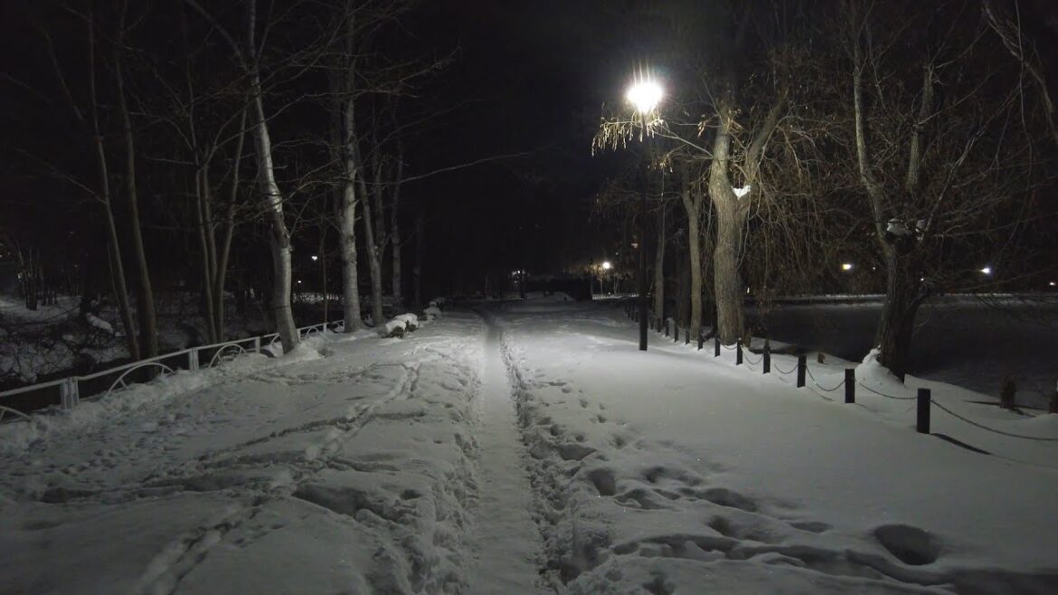 【4K】夜の月寒公園 散策 2023 日本 北海道 札幌 豊平区 月寒西→美園【Binaural Audio】 【4K】夜の月寒公園 散策 2023 日本 北海道 札幌 豊平区 月寒西→美園【Binaural Audio】