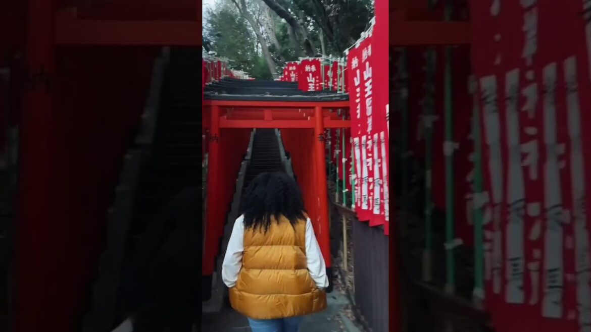 OUR FIRST SHRINE IN JAPAN‼️ #travel #thingstodoinjapan #japanvlog #tokyojapan #japantravel #osaka