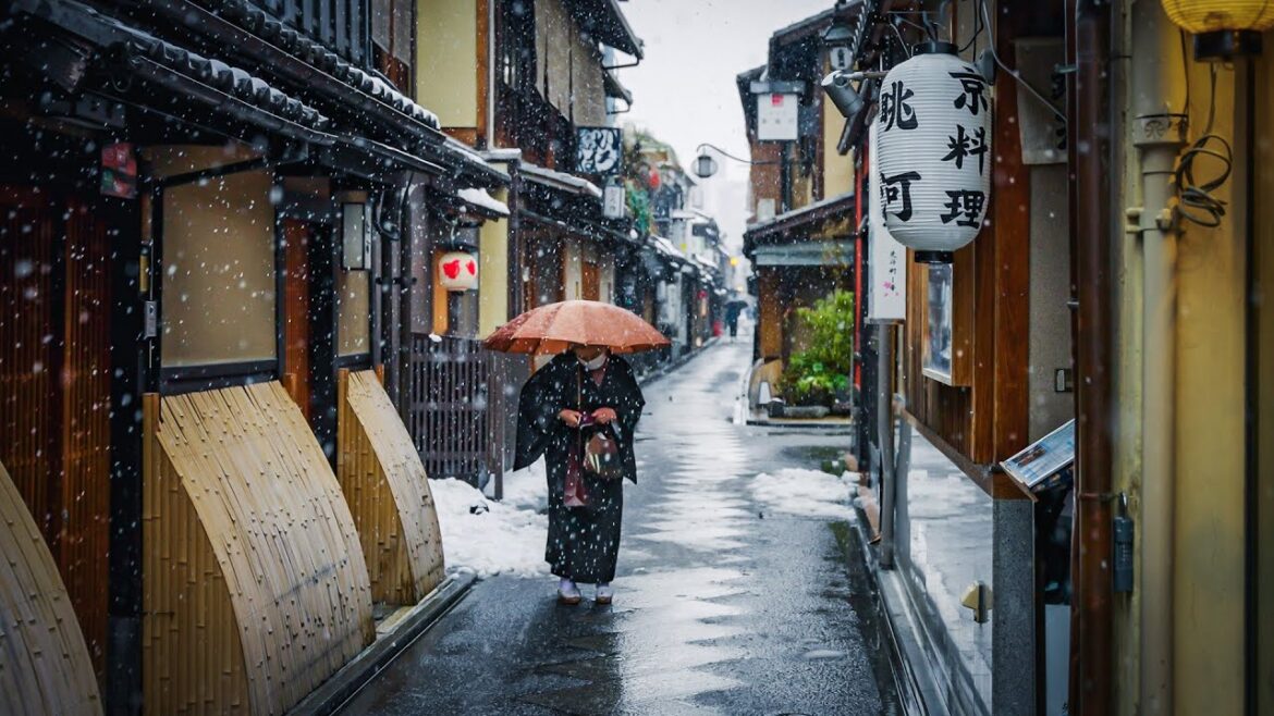 Kyoto's Coolest Spot in the SNOW | A quick walk through Pontocho Alley Kyoto's Coolest Spot in the SNOW | A quick walk through Pontocho Alley