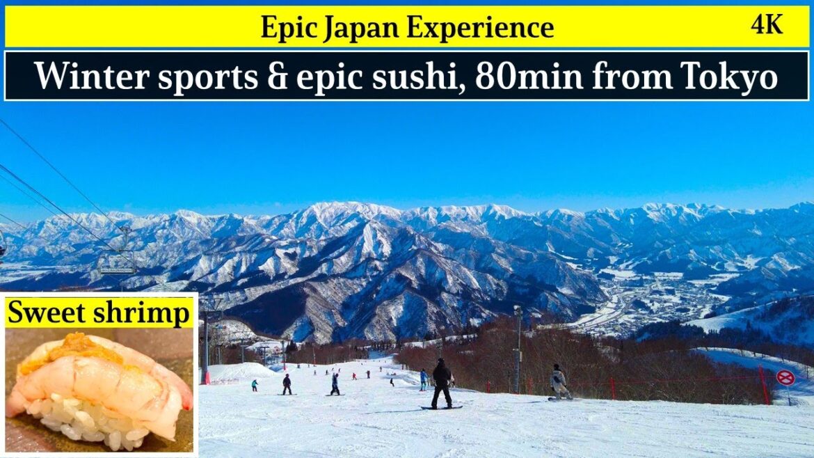 4K:Epic snow resort travel in Japan planned with best ski place and sushi ever! 4K:Epic snow resort travel in Japan planned with best ski place and sushi ever!