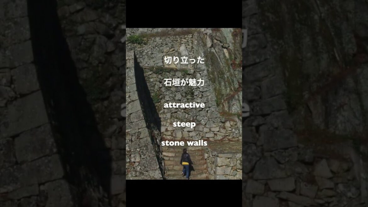 高梁城/急峻な石垣が魅力「風景画の旅」アクリル画と風景 views Takahashi Castleグランf #shorts