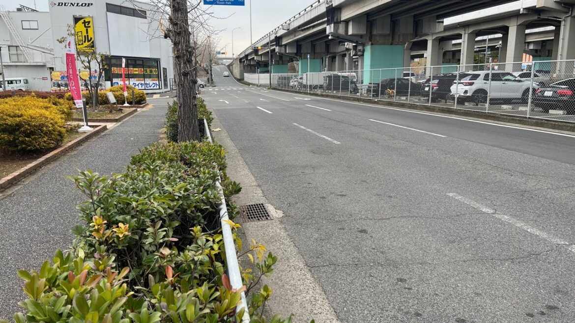 Exploring Japan #LIVE