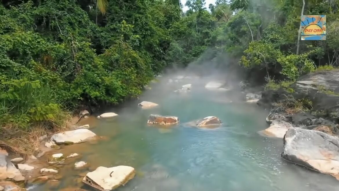 अमेज़न जंगल के ऐसे राज जिन्हें अब तक आपसे छुपाया गया || Top hidden mysteries of amazon rainforest