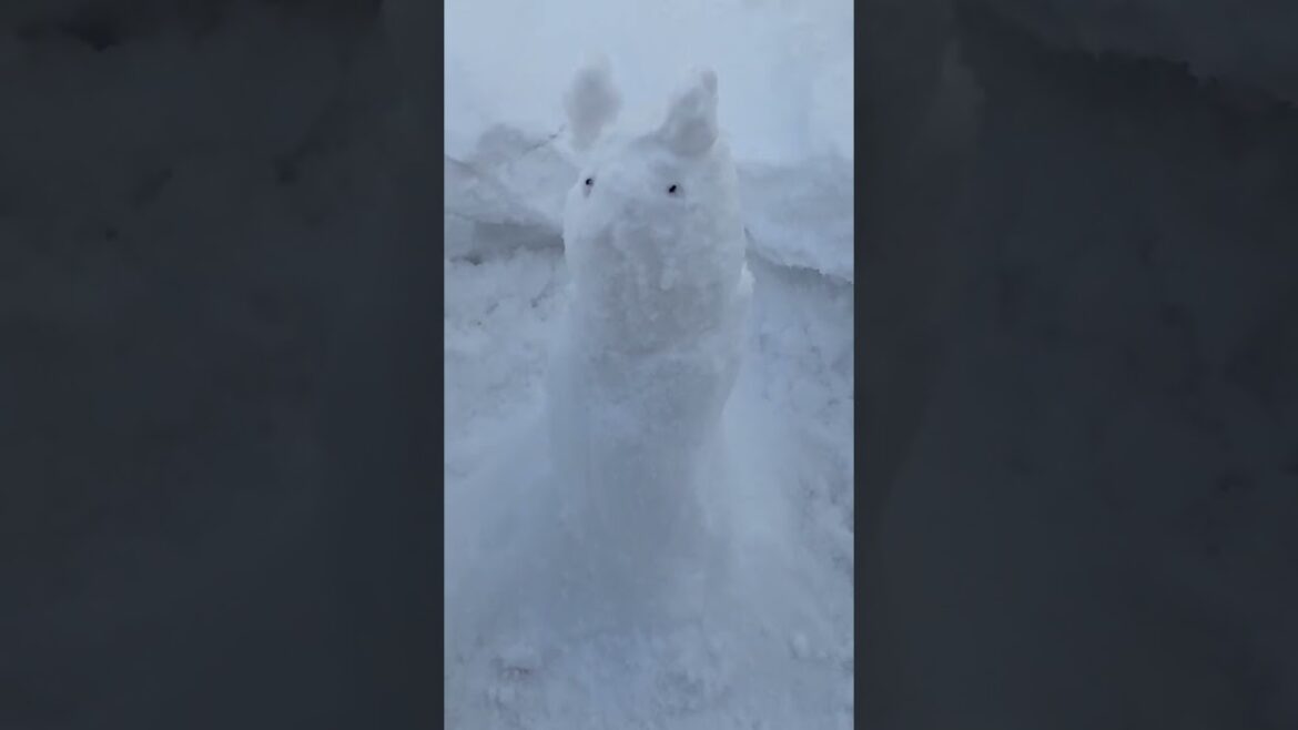 Travel, Sapporo, Hokkaido, Japan, 2023. Japan Travel Travel, Sapporo, Hokkaido, Japan, 2023. Japan Travel