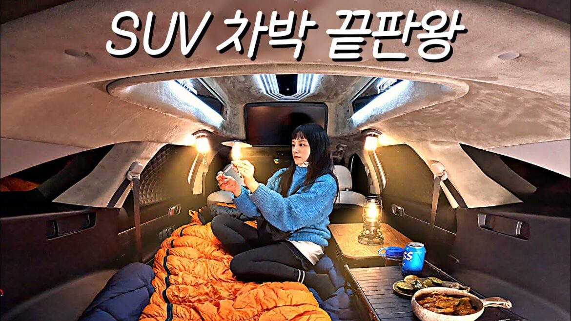 -15℃ 차 안에서 나혼자 첫 럭셔리 차박 캠핑 🚙 ASMR / 2023 신형 쏘렌토(?)