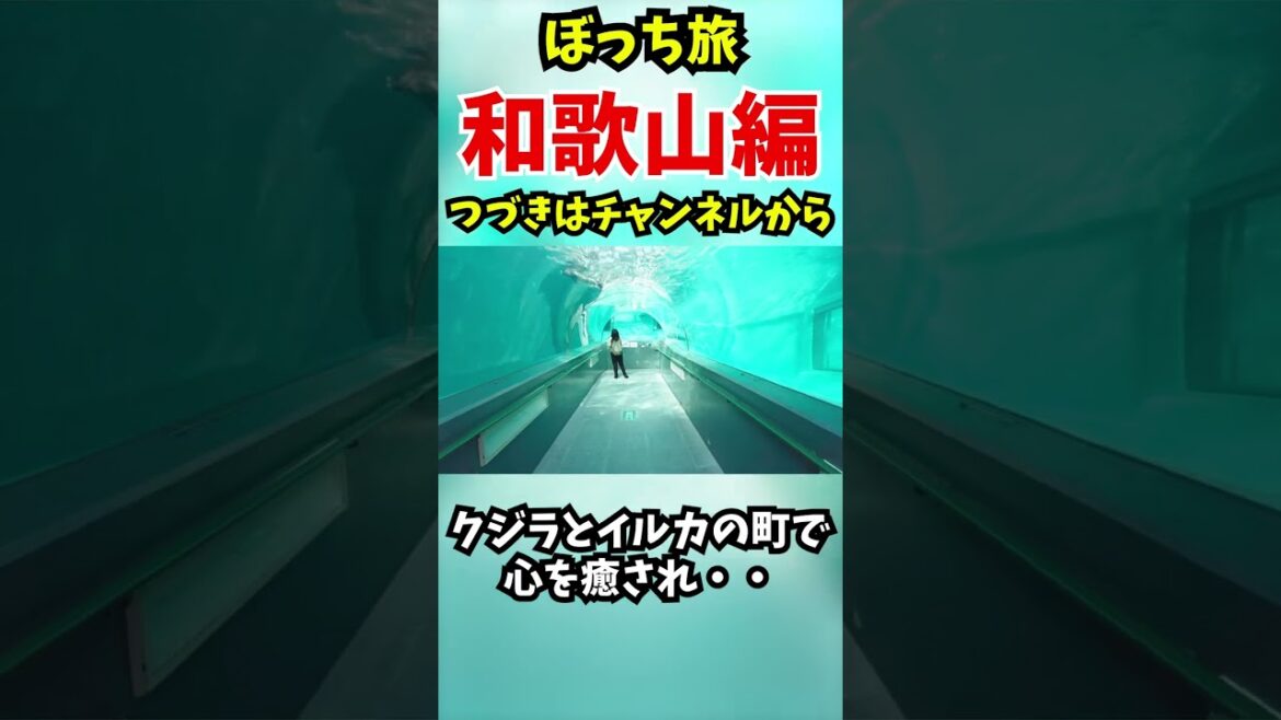 ぼっちが和歌山各地を巡り食い倒れる#Shorts