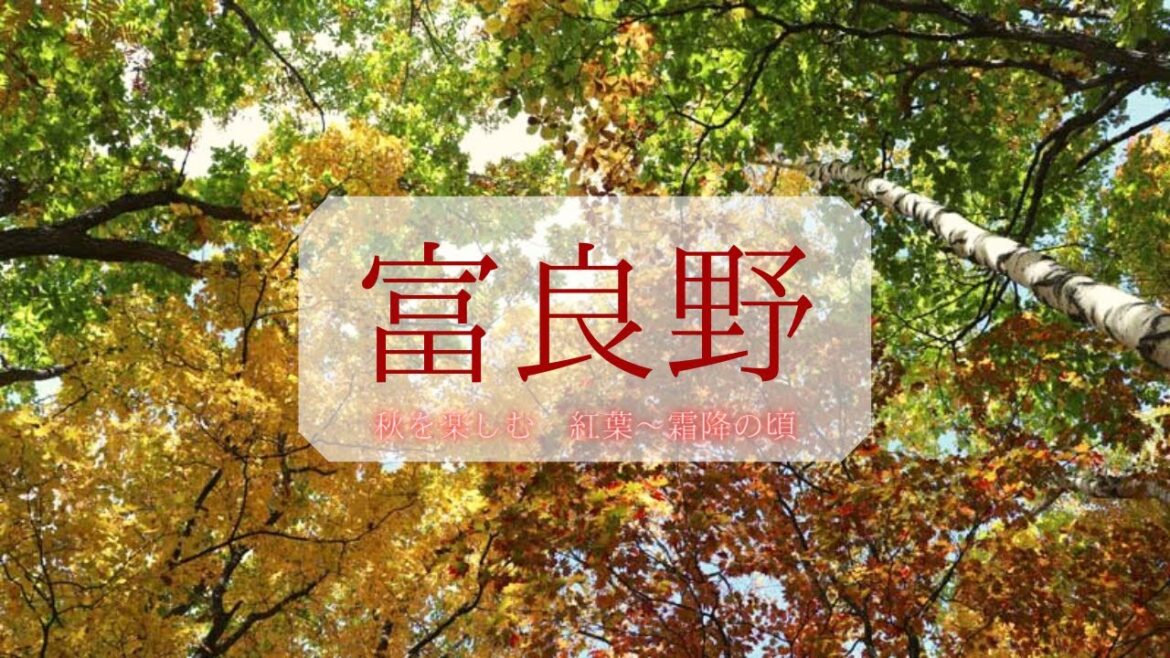 【富良野観光物語】2020.vol.225☆富良野☆秋を楽しむ・紅葉~霜降の頃~地元民がおススメする秋の楽しみ方2~ 【富良野観光物語】2020.vol.225☆富良野☆秋を楽しむ・紅葉~霜降の頃~地元民がおススメする秋の楽しみ方2~