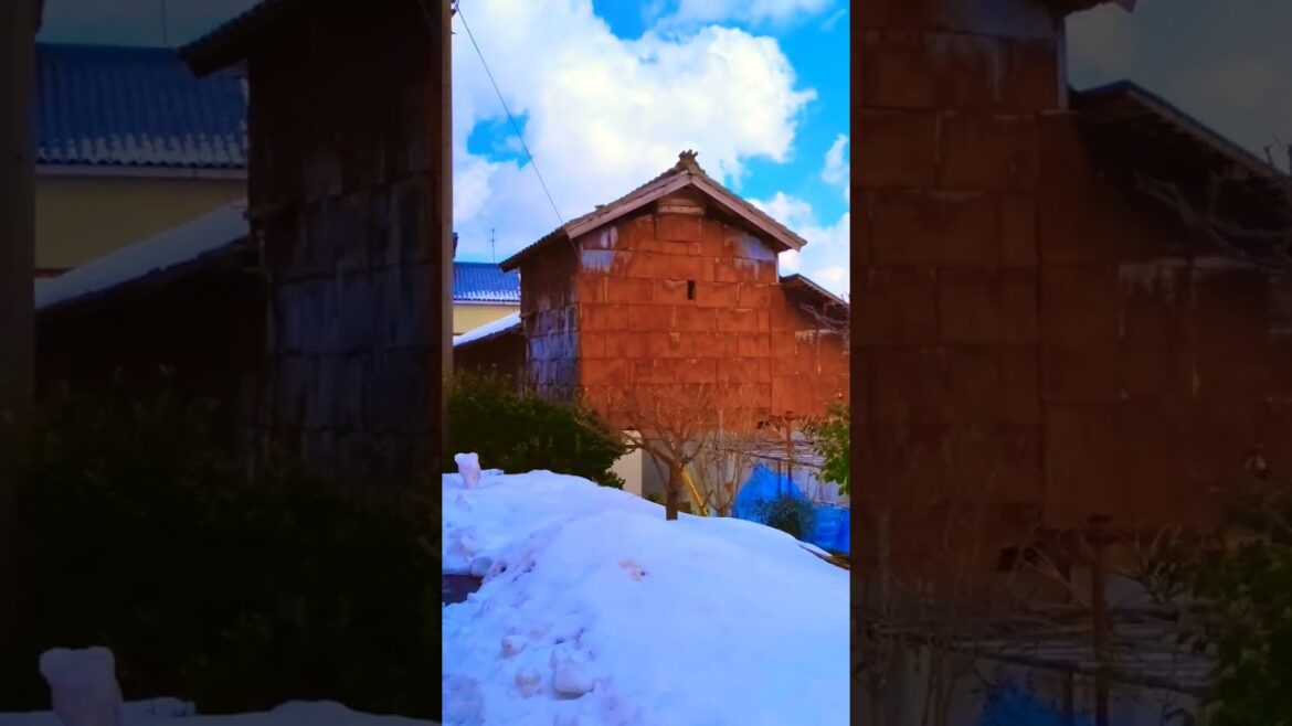 Rusty Workshop and Scraggly Tree in the Snow #japan #walking #niigata Rusty Workshop and Scraggly Tree in the Snow #japan #walking #niigata