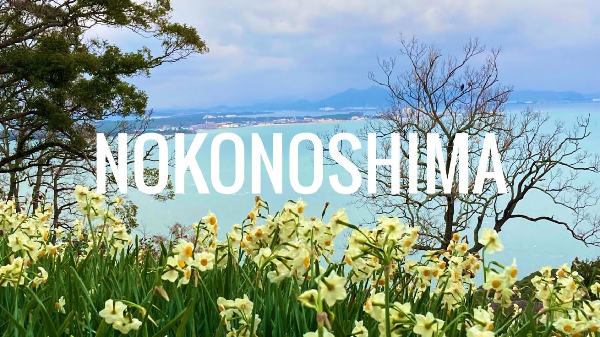 真冬の能古島 │ フェリーで10分の島旅 │ 福岡VLOG