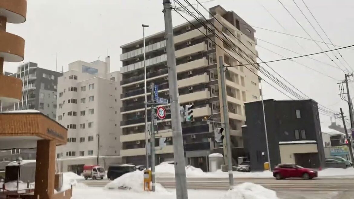 Travel, Sapporo, Hokkaido, Japan, 2023. Japan Travel Travel, Sapporo, Hokkaido, Japan, 2023. Japan Travel