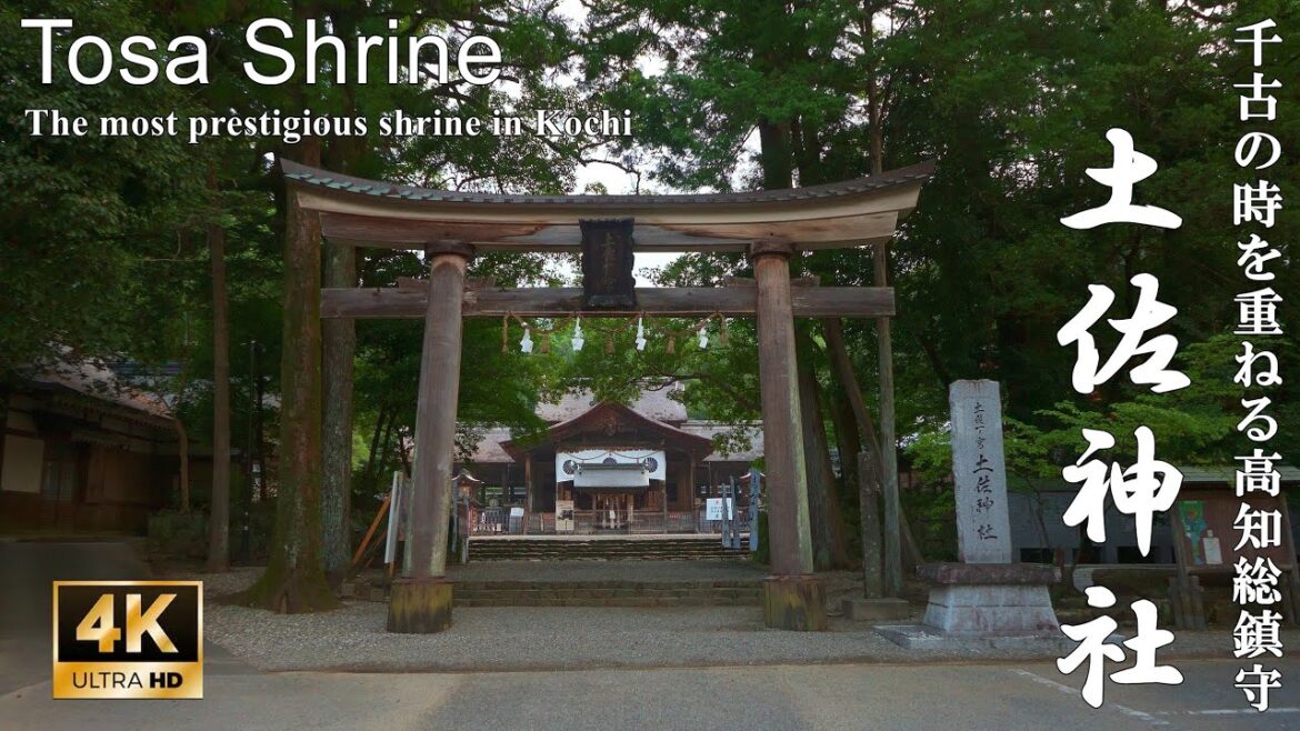 千古の時を重ねる南国・高知県の総鎮守：高知県・土佐神社(Tosa Shrine | The most prestigious shrine in Kochi)