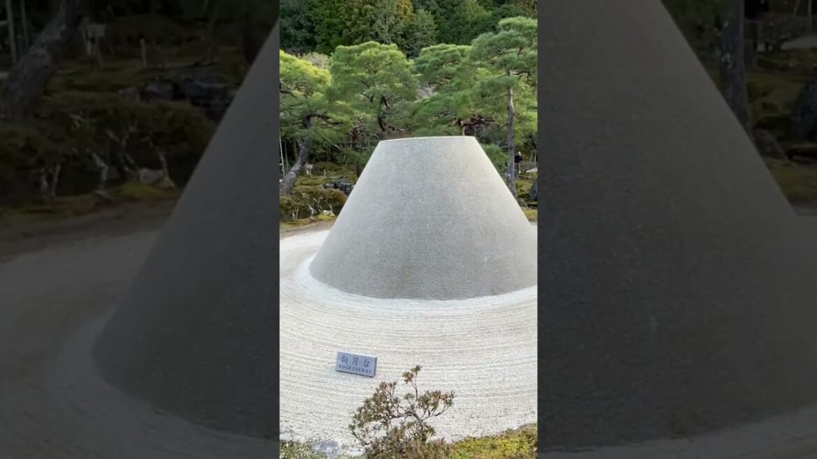 Things that make sense in Japan #shorts