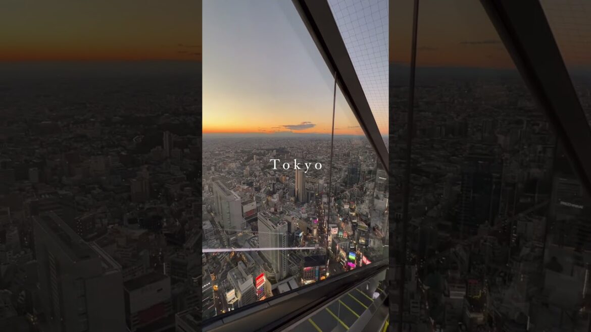 Tokyo turu #shorts #tokyo #travel #trend #2023