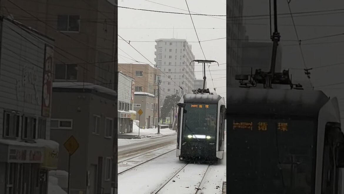 Travel, Sapporo, Hokkaido, Japan, 2023. Japan Travel Travel, Sapporo, Hokkaido, Japan, 2023. Japan Travel