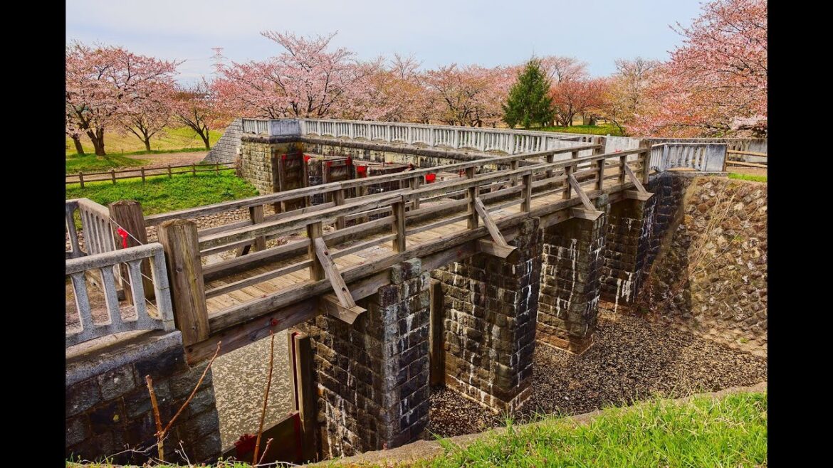 8K HDR 新潟 桜の加治川治水記念公園(土木遺産) Niigata,Sakura at Kajigawa Flood Control Park