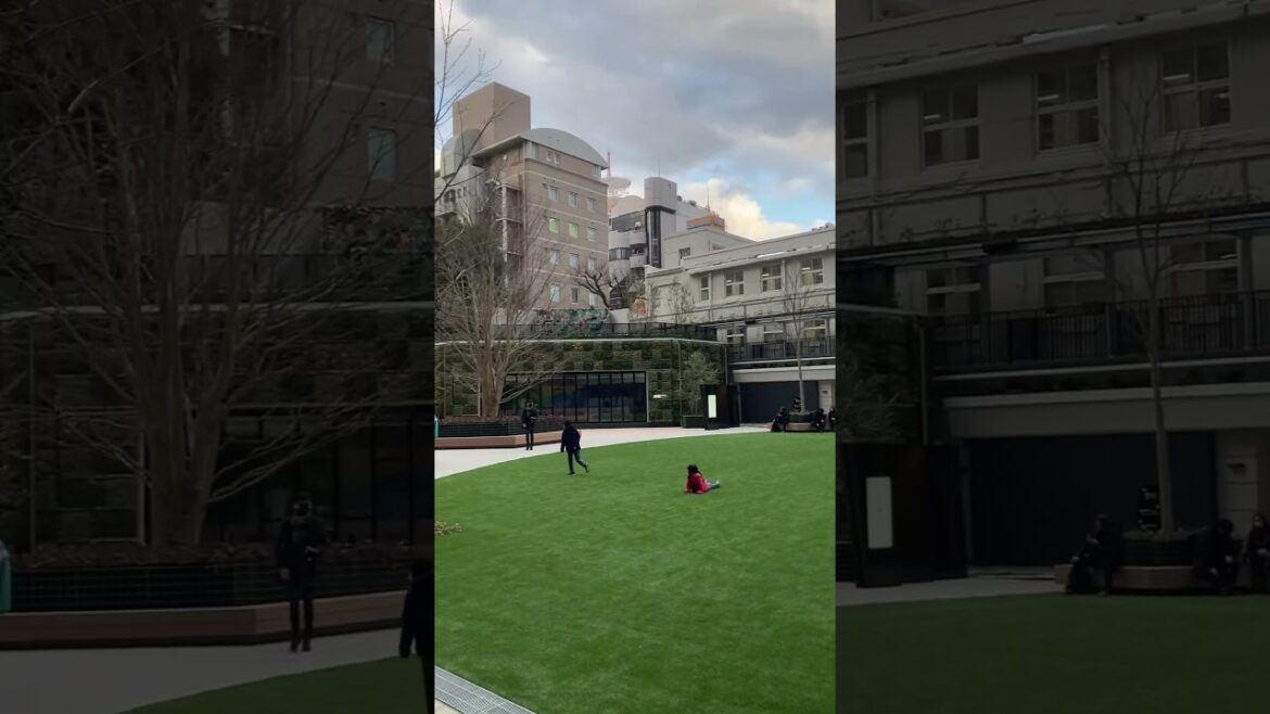 With new attractions consistently opening in Fukuoka, our private tours are expanding.