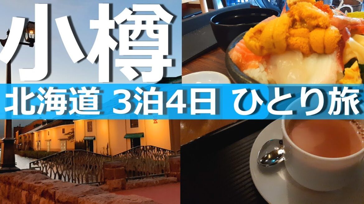 【北海道 ひとり旅】小樽観光とグルメを堪能｜小樽三角市場｜北一硝子｜小樽運河【前編】