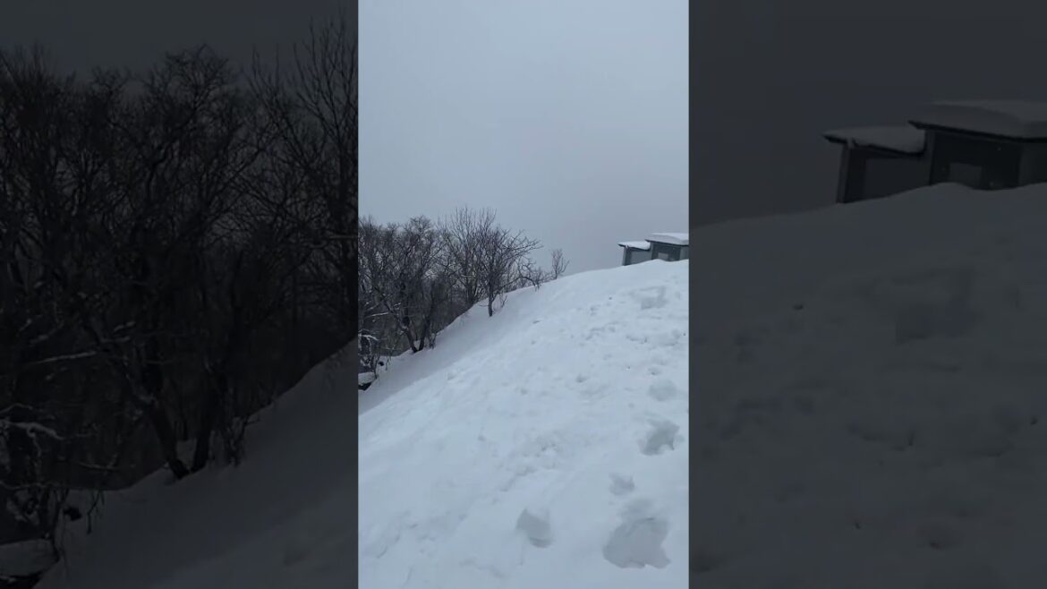 Travel, Sapporo, Hokkaido, Japan, 2023. Japan Travel Travel, Sapporo, Hokkaido, Japan, 2023. Japan Travel