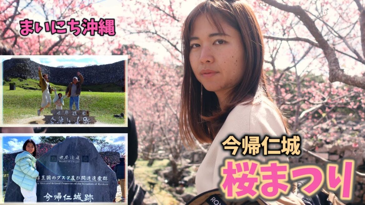 【今帰仁城桜まつり】日本一早い沖縄の桜を見てこよう！やんばるで暮らすしおりファミリー南国日常Vlog　okinawa