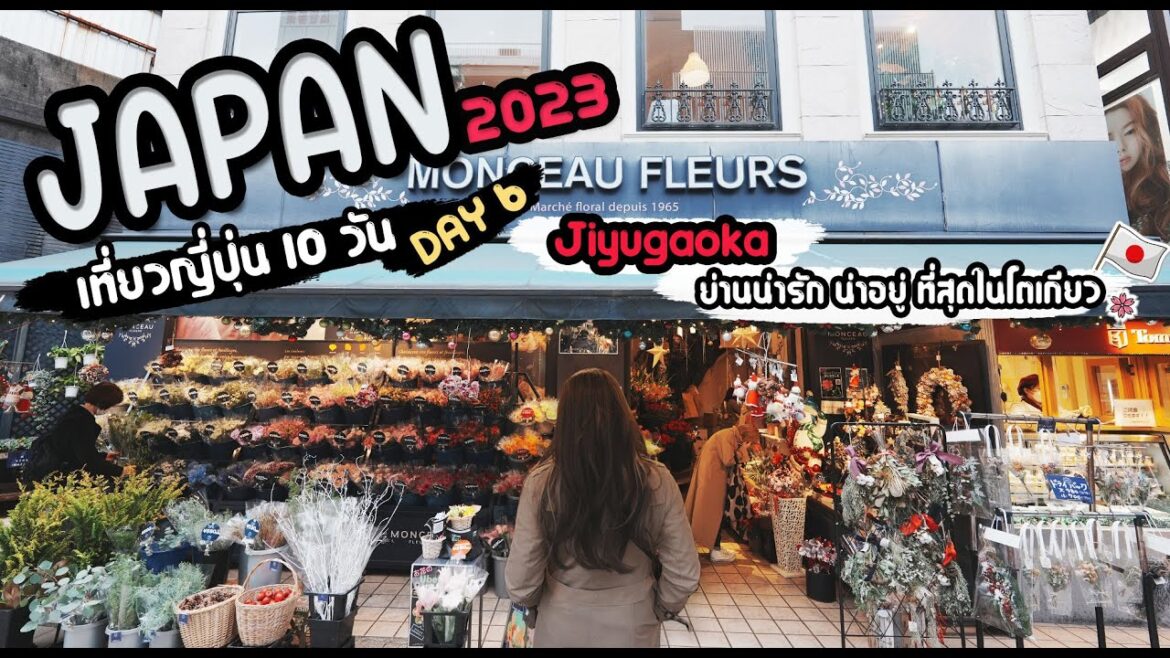 เที่ยวญี่ปุ่น กลับสู่จุดเริ่มต้น กันที่ โตเกียว | Day 06 | เที่ยวญี่ปุ่น 2023 | EP.06/10 เที่ยวญี่ปุ่น กลับสู่จุดเริ่มต้น กันที่ โตเกียว | Day 06 | เที่ยวญี่ปุ่น 2023 | EP.06/10