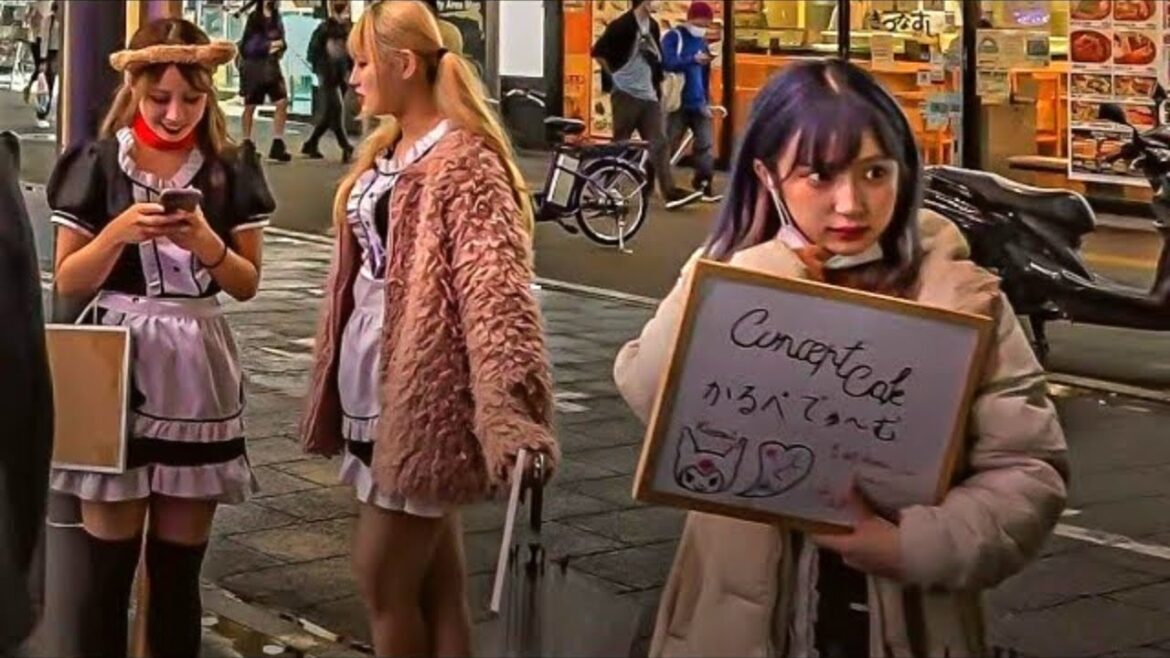 Tokyo's Girls Bar town to Maid cafe town