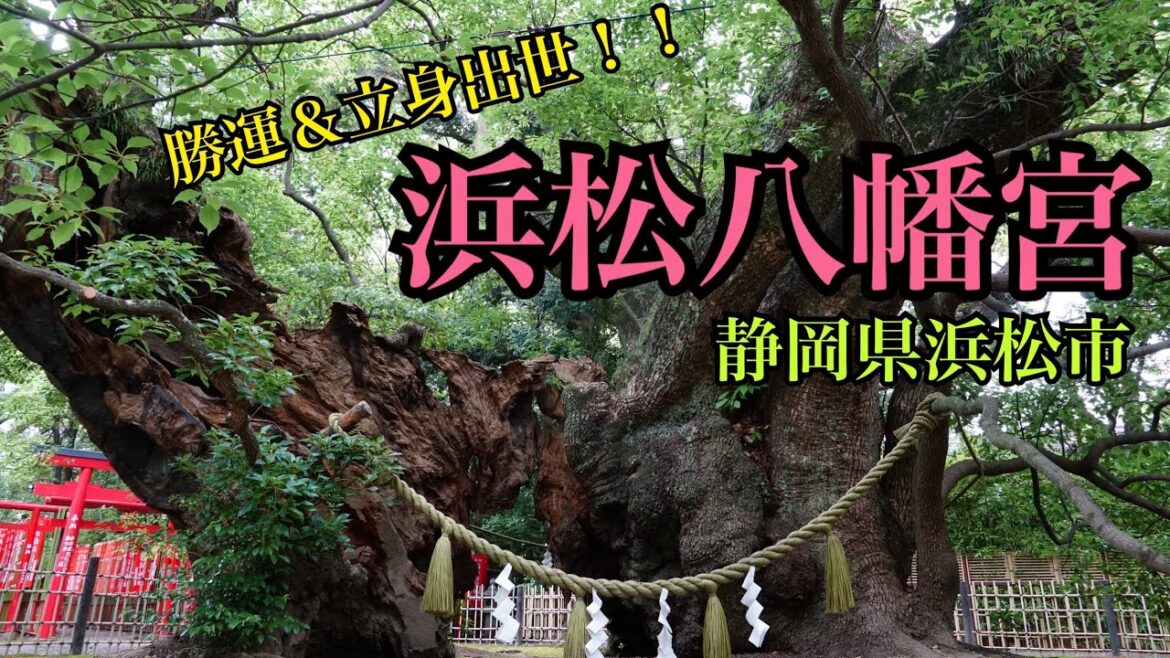 【どうする家康】武田信玄から隠れるにはうってつけ！浜松八幡宮【城女×静岡旅行×Vlog】-Shizuoka trip in Japan-