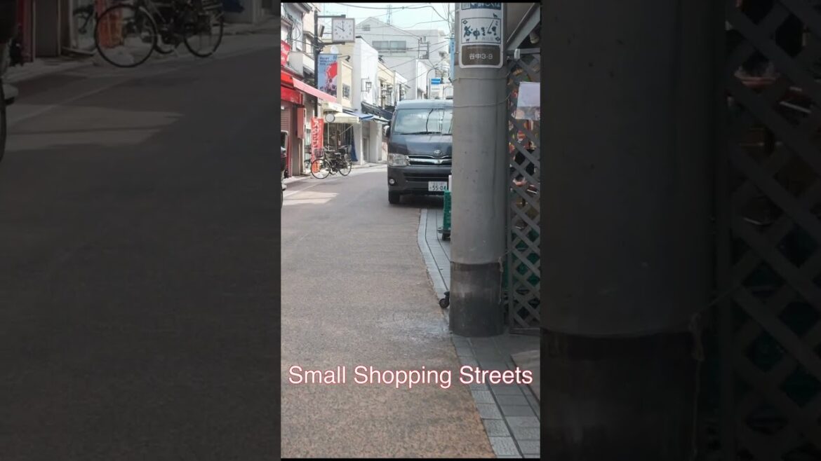 Early morning in Yanaka Tokyo Japan #Japan #travel #shortsvideo