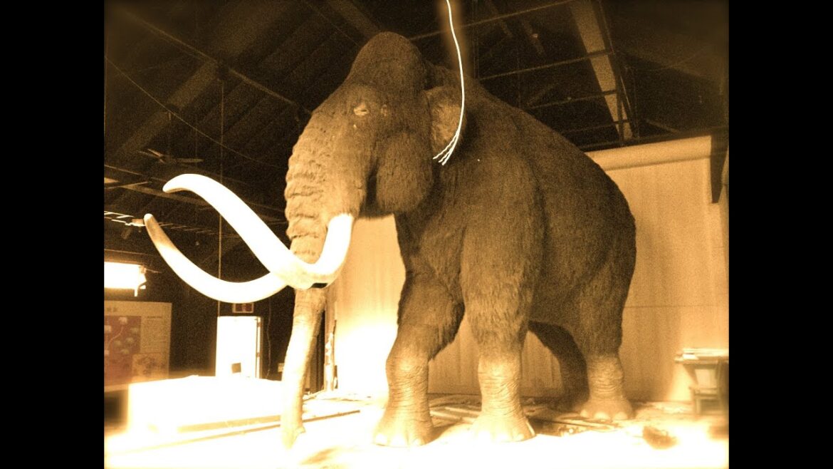 新潟ロシア村２　廃墟マンモス編　心霊スポット探索　Niigata Russian Village