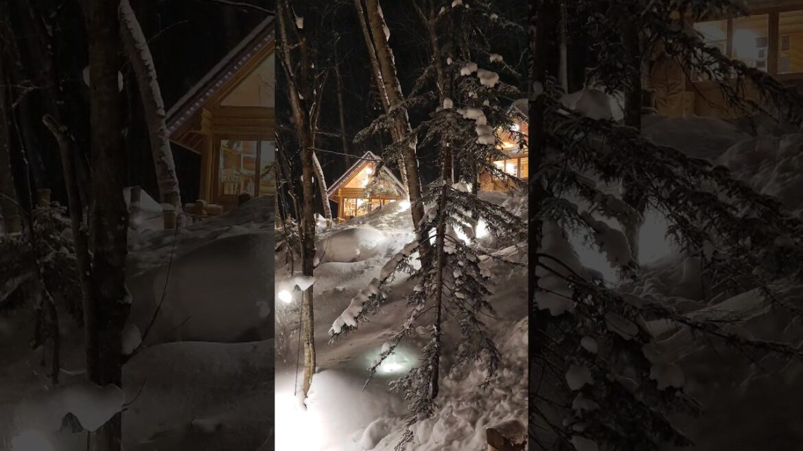 🇯🇵❄️Is this a dream? #japan #hokkaido #furano #ningleterrace #japantravel  #japanvlog #yuki #skiing