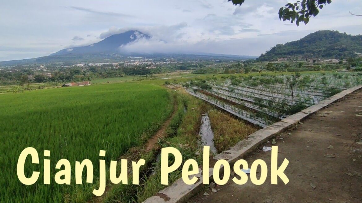 AKHIRNYA NYAMPE DI CIANJUR🔴Menyusuri Cianjur Pelosok Dengan Suasana Yang Indah#motovlogsukabumi