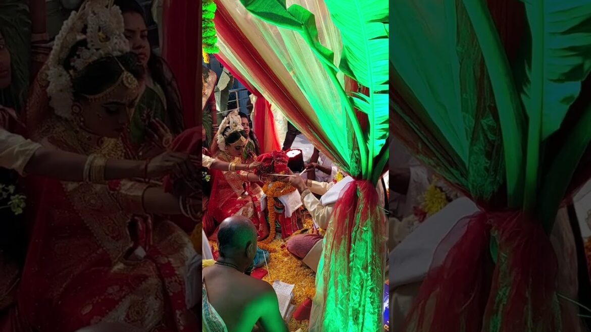বৈদিক মতে বিয়ে || hindu wedding