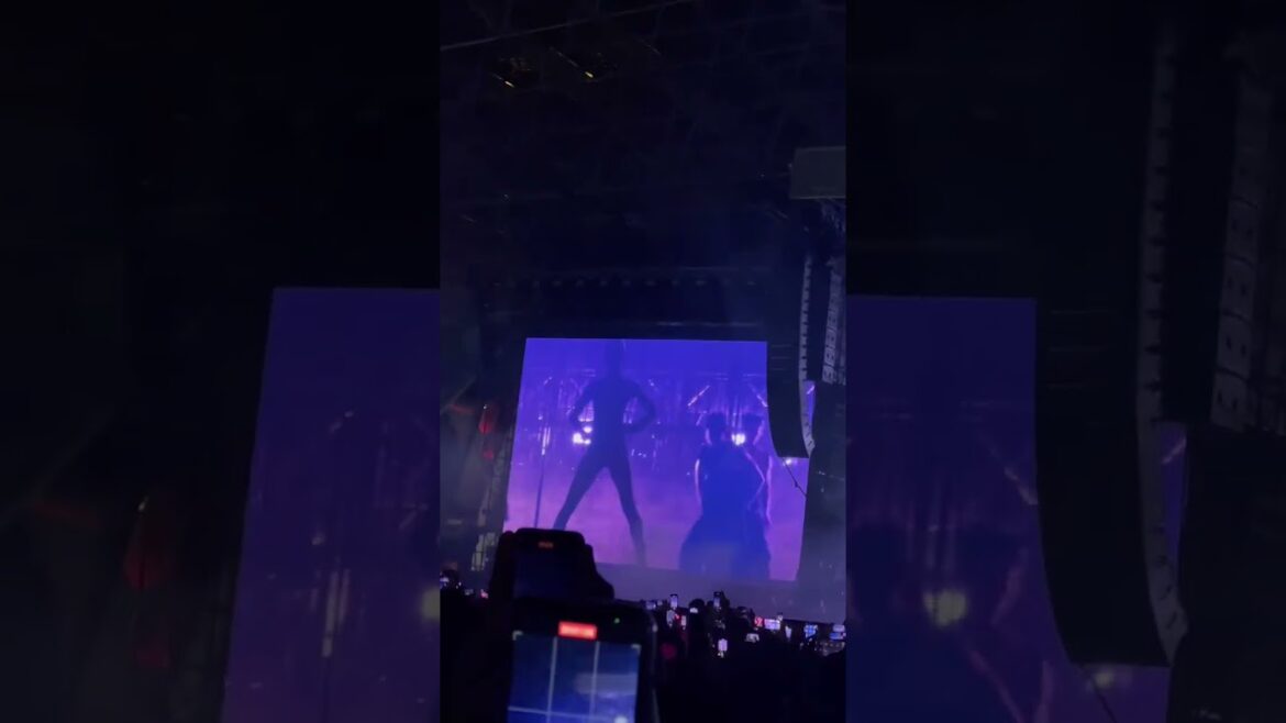 Lisa’s  Pole Dance in Born Pink Abu Dhabi Concert #lalisa #lisa #blackpink #bornpink