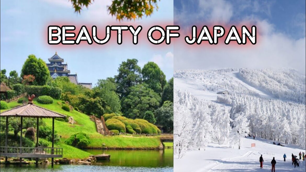 Okayama Korakuen | Niimi | Snowfall in Japan