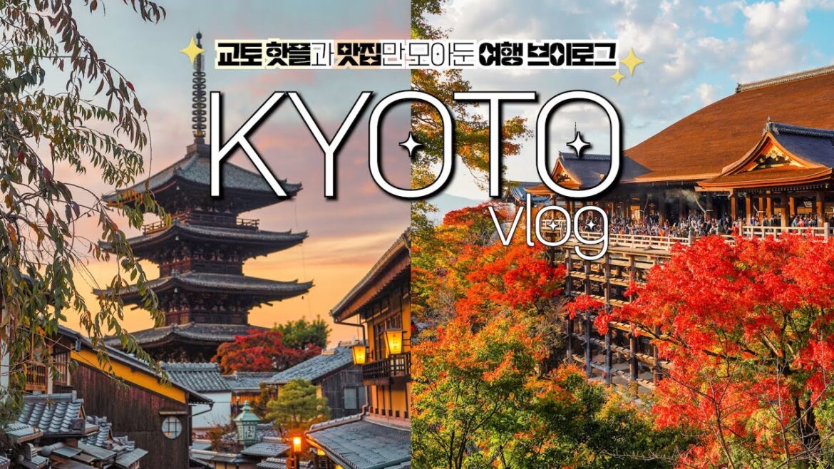 교토 여행 브이로그(kyoto travel vlog)✈️ 일본 여행⎮ 교토 맛집⎮ 니시키시장⎮ 아라시야마⎮ 기요미즈데라⎮ 이치조지⎮교토 응커피⎮교토 핫플