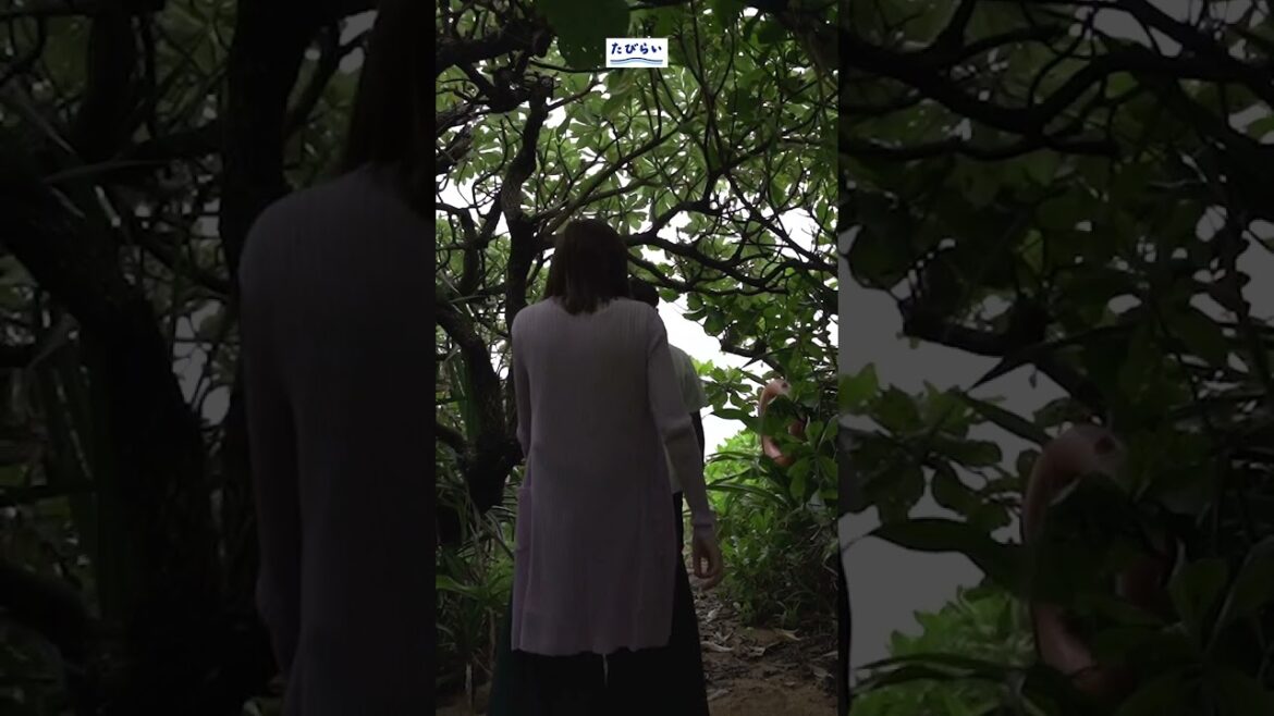 【宮古島】豊かな森と海を感じる大人の隠れ家ホテルで過ごす2人の時間／たびらい沖縄