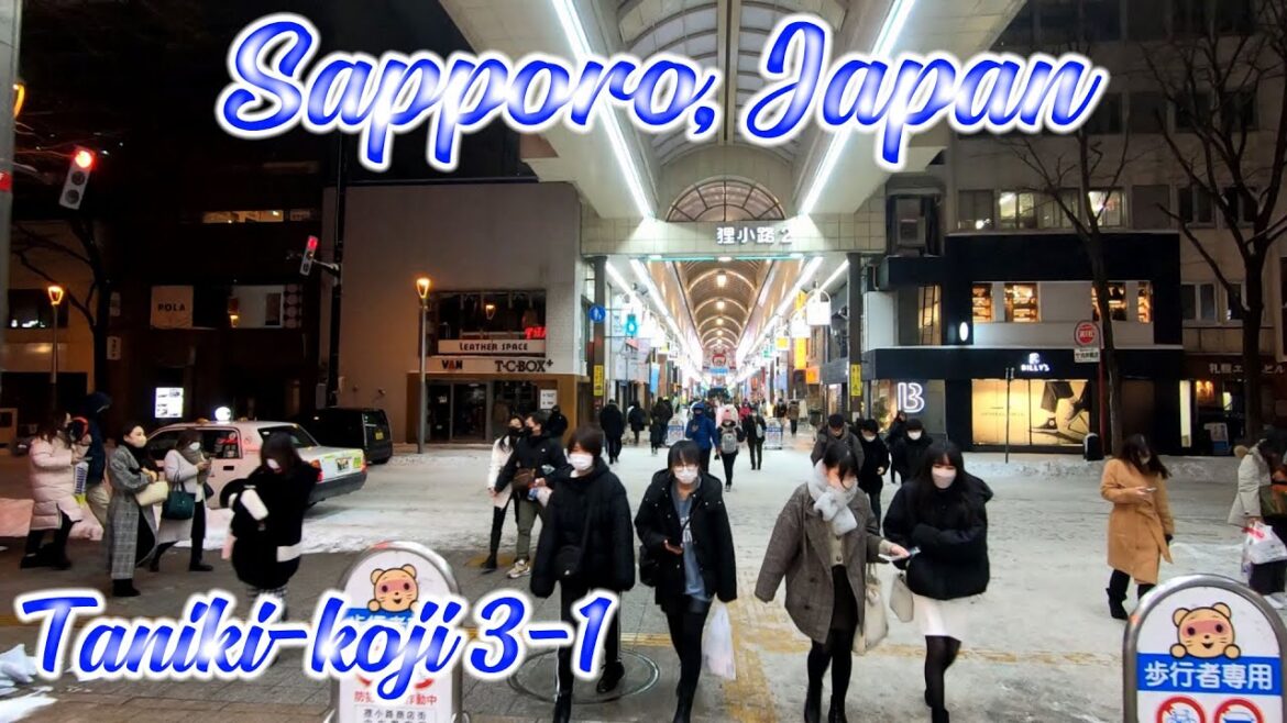 Walking in Hokkaido, Japan. Walk at Tanuki-koji 3-1 at Night in Winter. ORANGE ua