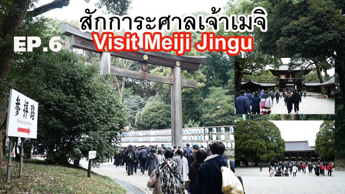 Japan Trip 2023.01.14 DAY.4 สักการะศาลเจ้าเมจิ โตเกียว Meiji Jingu