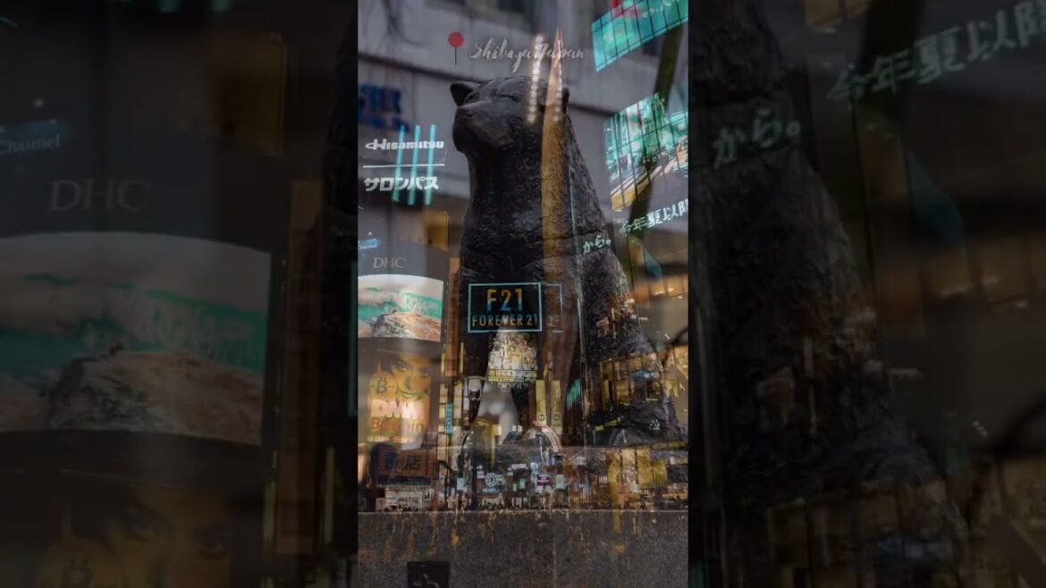 Shibuya: A Bird’s Eye View of Tokyo’s Busiest District! #shibuya #tokyotravel #japan