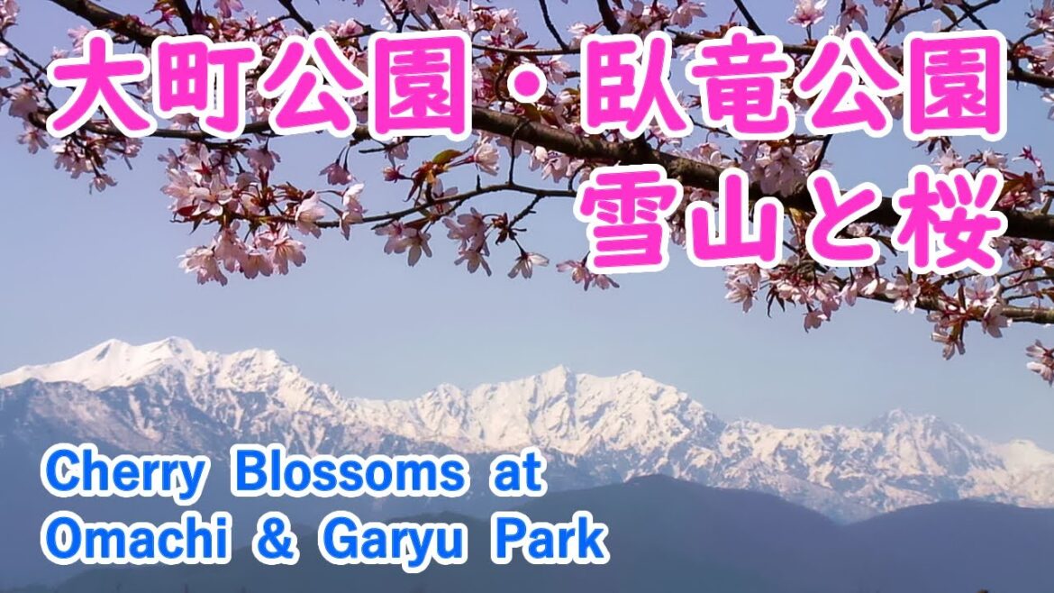 長野県 大町公園・臥竜公園の桜絶景 ( ヒーリング音楽 ) / Cherry Blossoms at Omachi & Garyu Park ( Nagano, Japan )【日本の桜名所】 長野県 大町公園・臥竜公園の桜絶景 ( ヒーリング音楽 ) / Cherry Blossoms at Omachi & Garyu Park ( Nagano, Japan )【日本の桜名所】