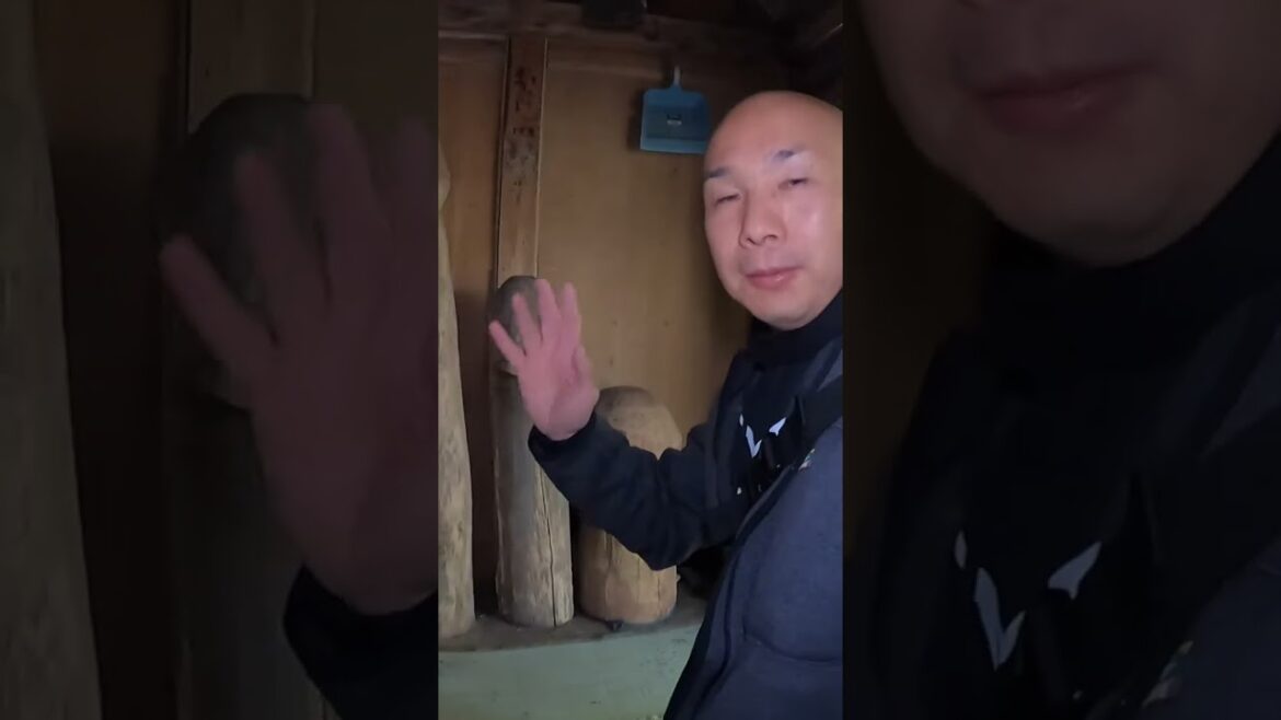 【秘宝】マダムと御神体 #shorts 【秘宝】マダムと御神体 #shorts