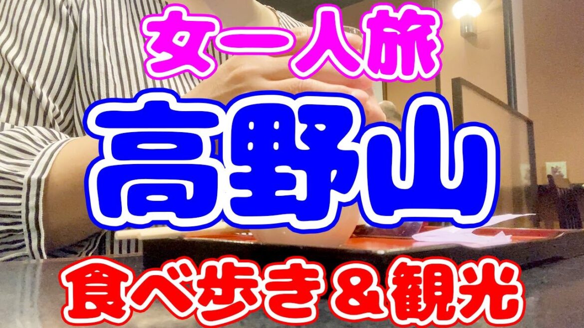 高野山を1泊2日で観光😄グルメ三昧の女ひとり旅😍奥の院・金剛峯寺・壇上伽藍を巡り、花菱・角濱ごま豆腐で精進料理を堪能 高野山を1泊2日で観光😄グルメ三昧の女ひとり旅😍奥の院・金剛峯寺・壇上伽藍を巡り、花菱・角濱ごま豆腐で精進料理を堪能