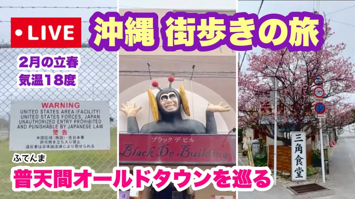 【沖縄オンライン観光】2月立春の沖縄を街歩き「沖縄旅行情報」 【沖縄オンライン観光】2月立春の沖縄を街歩き「沖縄旅行情報」