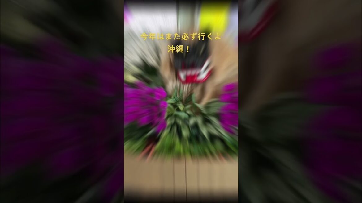 今年も行きたい沖縄！いや、絶対に沖縄旅行するよ！