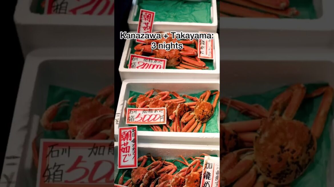 Travel #Japan by train with Explore Worldwide #Shorts #GroupTour #Travel