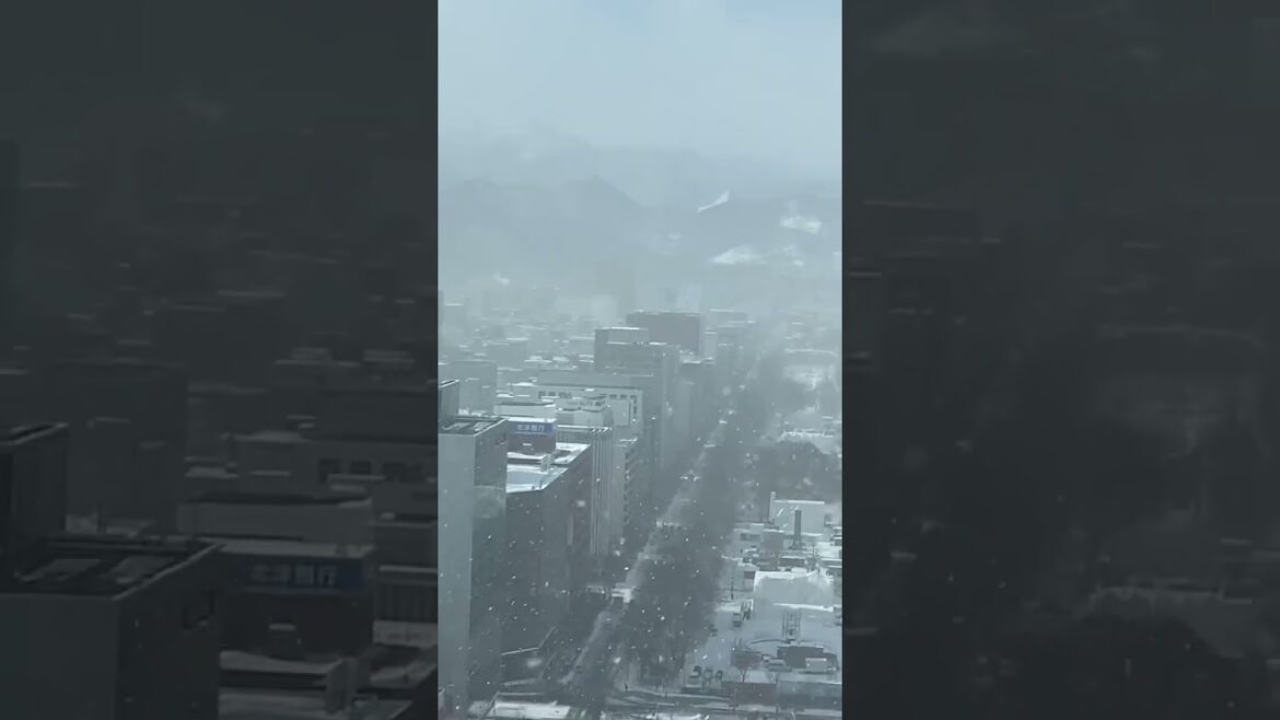 Travel, Sapporo, Hokkaido, Japan, 2023. Japan Travel Travel, Sapporo, Hokkaido, Japan, 2023. Japan Travel