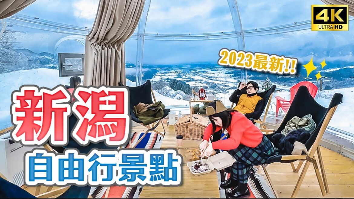 2023新潟必去秋冬秘境景點❄️石打丸山雪中野餐、苗場雪上摩托車、日本酒觀光列車、大地藝術季巡禮｜新潟自由行・日本旅遊4K VLOG