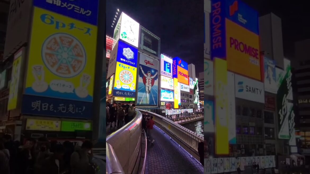 Dotonbori 道頓堀 Osaka (Japan Day 8 Recap) 🇯🇵
