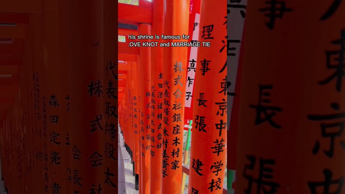 Hidden Shrine in Tokyo #shorts #tokyo #japan #travel #minivlog