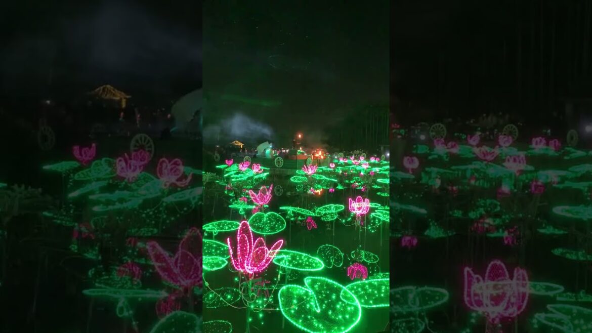 [JAPAN🇯🇵TRIP] The fire performance at Southeast Botanical Gardens in Okinawa